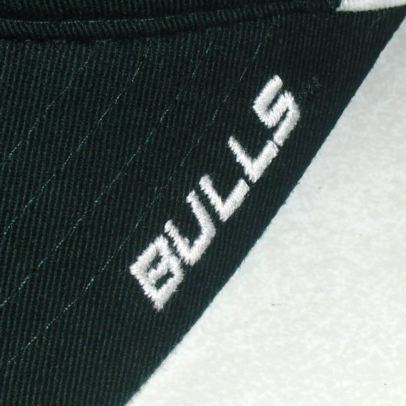 South Florida Bulls USF University Zephyr Strapback hat Dad hat style New Ncaa - Picture 2 of 5